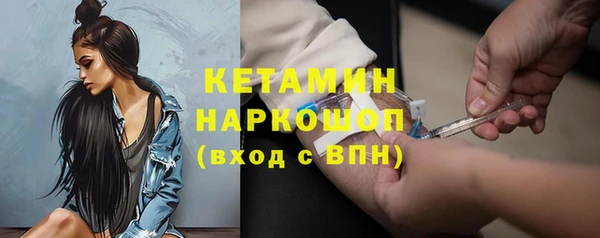 стаф Аркадак