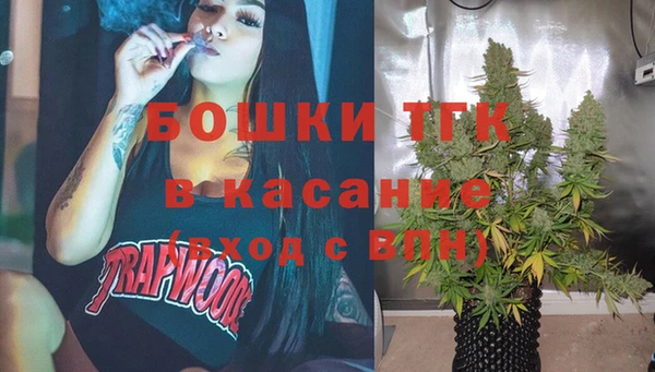 индика Козельск