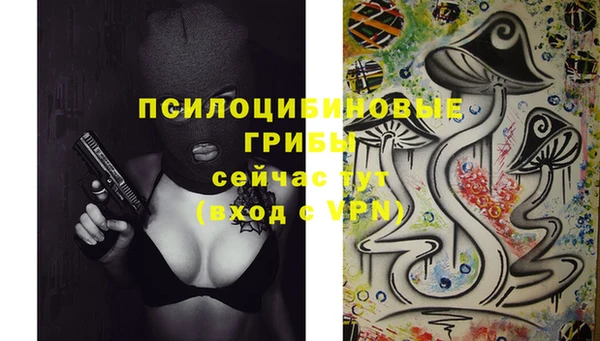 гидропоника Армянск