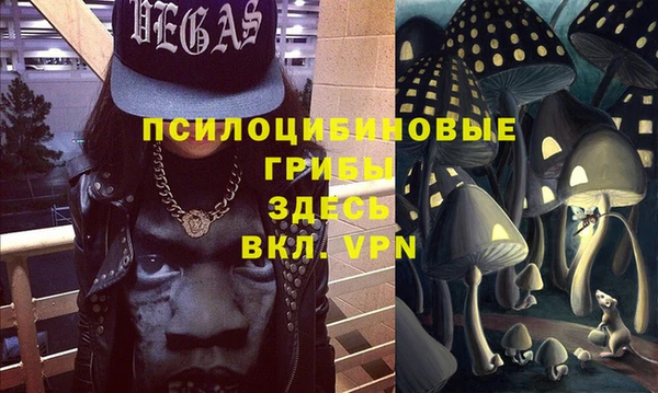 стаф Аркадак